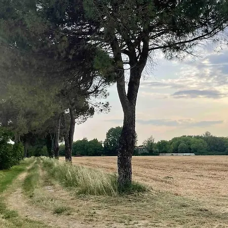 Casa vacanze Spacious House In Venezia With Free Parking Chirignago-Zelarino